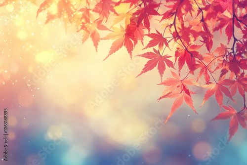 Red maple leaves in autumn sunlight