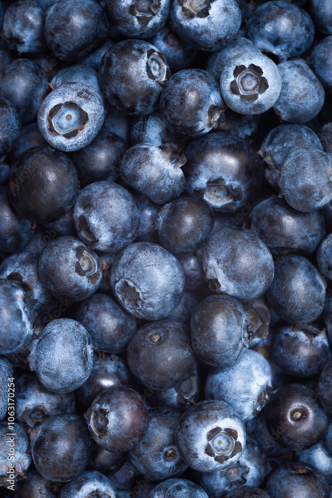 Fresh farm blueberries close-up. Texture of organic blueberries, top view Fresh farm blueberries close-up. Texture of organic blueberries, top view