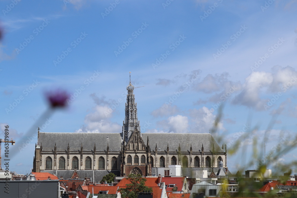 Fototapeta premium Sint Bavo vanaf De Dakkas 