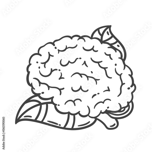 Brain plant with leaf growth line icon. Outline hand drawn brain growing with healthy nutrition and knowledge. Eco mindset, cognitive progress mascot, smart ideas development icon vector illustration