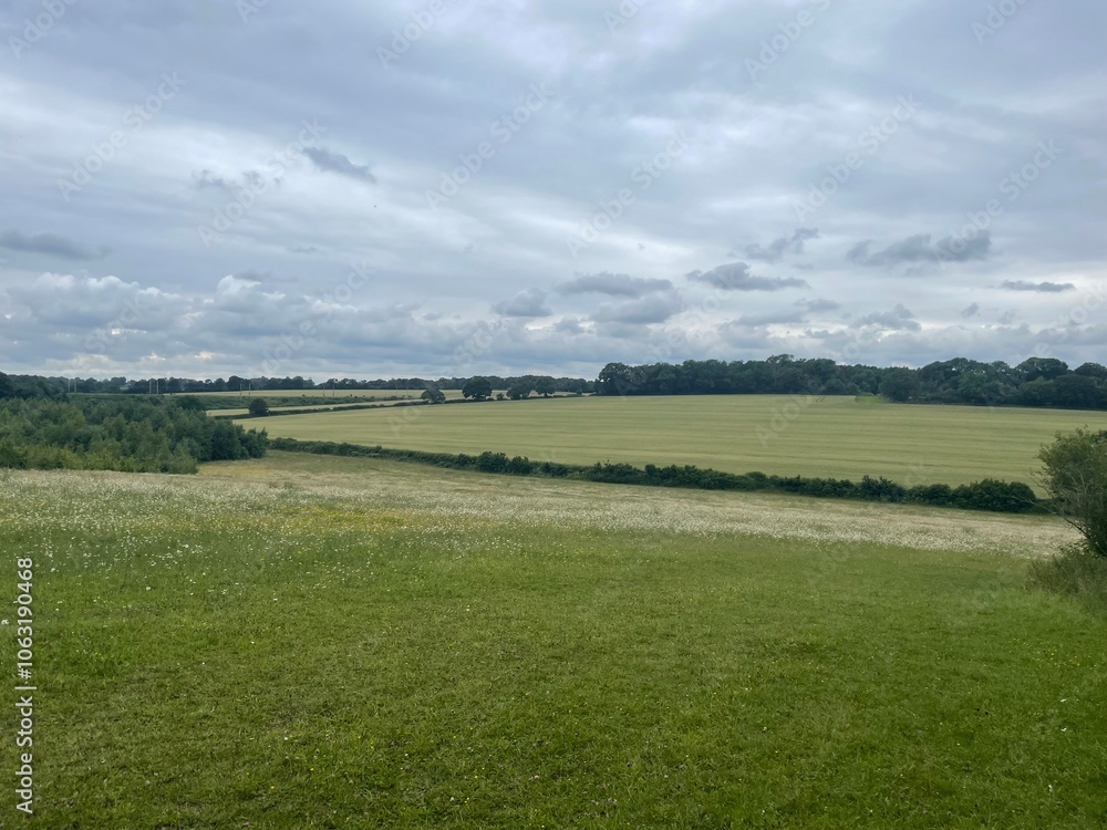 Naklejka premium landscape with clouds