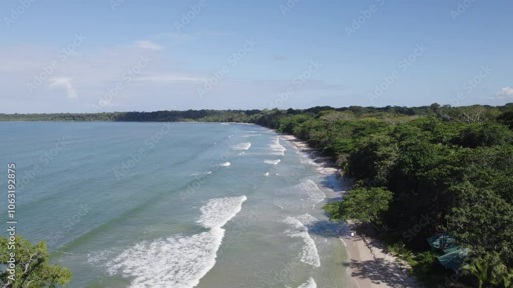 Cahuita National Park beach, Costa Rica, with lush forest edge - aerial Cahuita National Park beach, Costa Rica, with lush forest edge - aerial