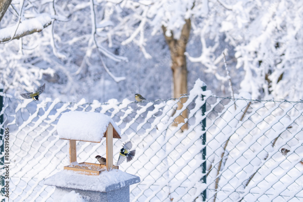Outdoor feeder for winter feeding of wild birds Outdoor feeder for winter feeding of wild birds