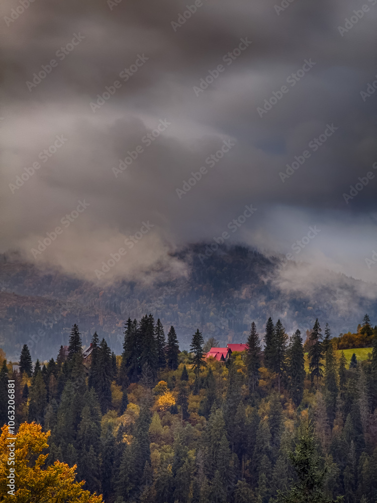 The landscape of Carpathian Mountains in the sunny weather. Perfect weather condition in the autumn season