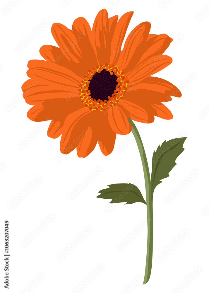Aesthetic daisy png sticker, orange flower collage element on transparent background Aesthetic daisy png sticker, orange flower collage element on transparent background