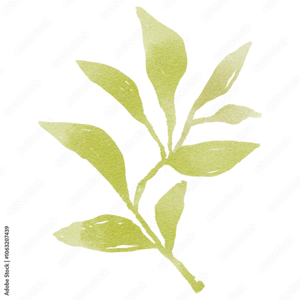 Obraz premium Green leaf png sticker, watercolor design, transparent background