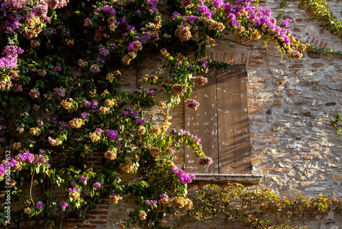Fototapeta Naklejka Na Ścianę i Meble -  Rustic stone building adorned with vibrant bougainvillea flowers in Sirmione, Italy