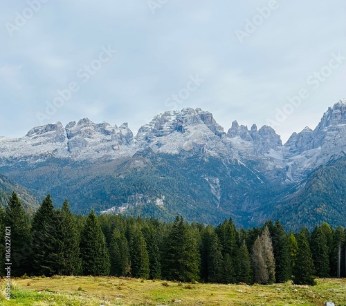 View of the mountains behind the forest