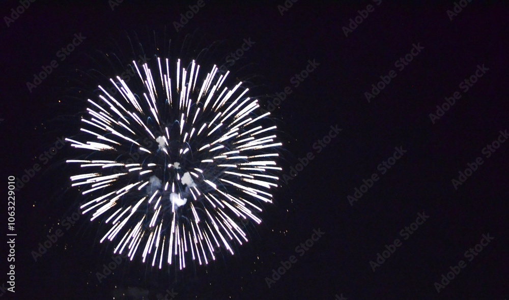 fireworks in the night sky fireworks in the night sky