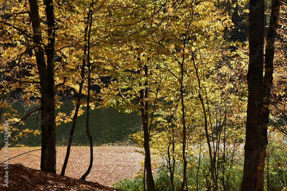 Obraz premium Beautiful mountain lake