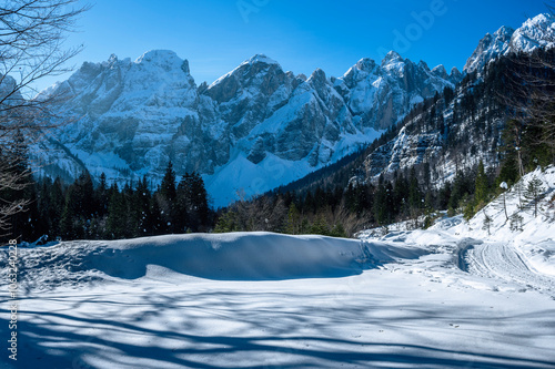 Julian Alps immersed in snow. Riofreddo Valley, wild and magical photo