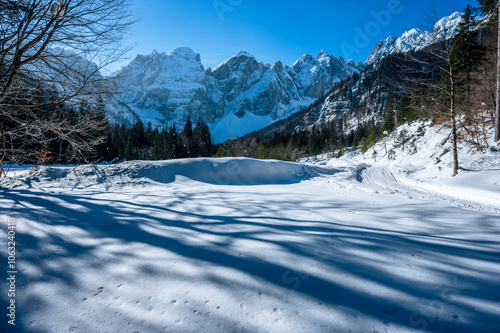 Julian Alps immersed in snow. Riofreddo Valley, wild and magical photo