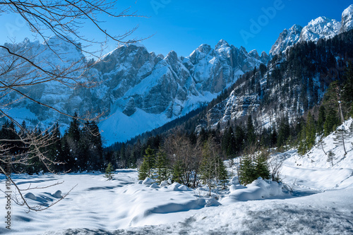 Julian Alps immersed in snow. Riofreddo Valley, wild and magical photo