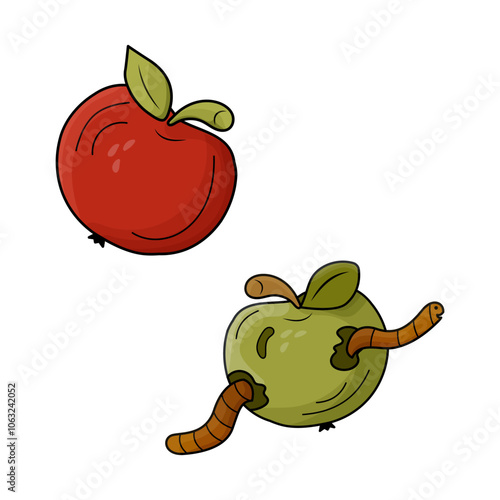 Red ripe apple and rotten green apple with worm. Vector color illustration. The topic is fresh and expired, spoiled, maggot eaten product.