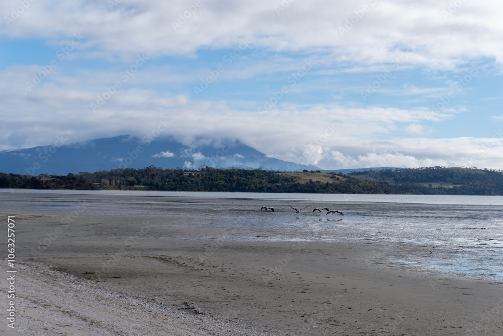 beach and natural environment beach and natural environment
