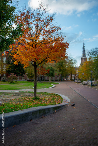 A vibrant autumn tree with fiery orange leaves stands beside a winding brick pathway leading towards a historic clock tower, and university campus in Leiden, Netherlands.