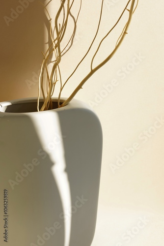 Modern white ceramic vase with dry branch on beige   background with sunlight shadow close up.Copy space, Aesthetic scandinavian interior accessories. 