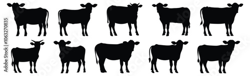 Cow silhouettes set, animal pack of vector silhouette design, isolated background.
