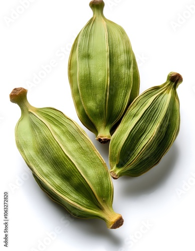 Wallpaper Mural Green Cardamom Pods Torontodigital.ca