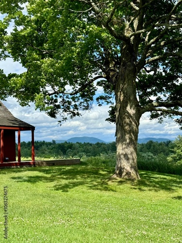 Mountain in view from the porch