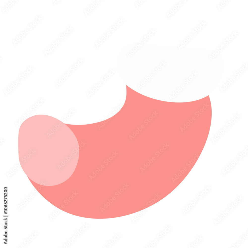christmas ornament Illustration christmas ornament Illustration