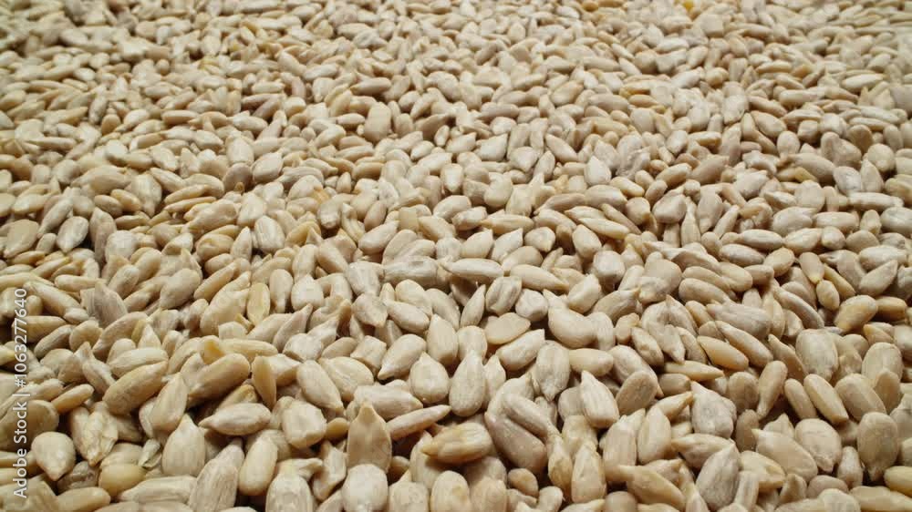Sunflower seeds. Healthy vegan food concept. Raw kernels. Peeled sunflower seeds. Slider dolly shot. Rich harvest of vegan snack. Close-up in 4K, UHD Sunflower seeds. Healthy vegan food concept. Raw kernels. Peeled sunflower seeds. Slider dolly shot. Rich harvest of vegan snack. Close-up in 4K, UHD