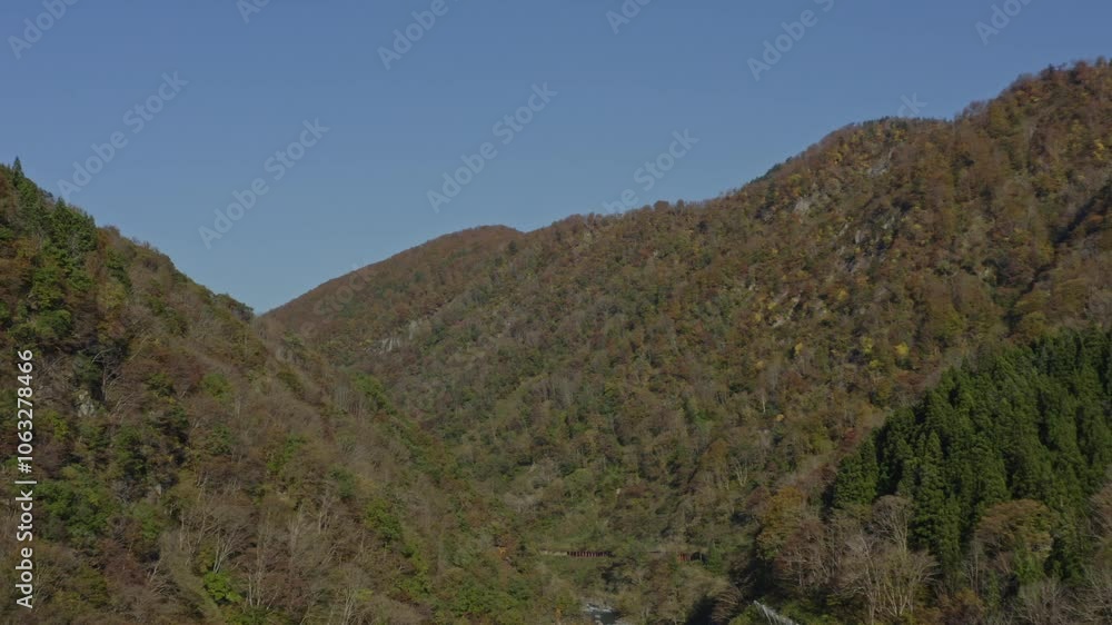 雲一つない青空と、鮮やかに紅葉した山 雲一つない青空と、鮮やかに紅葉した山