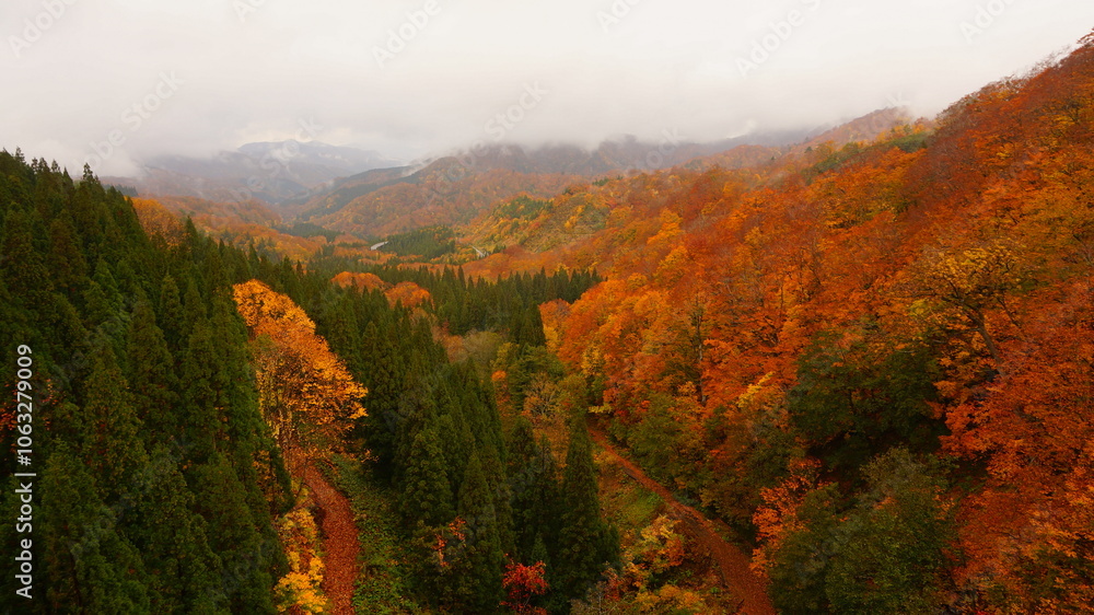 Obraz premium 秋田 山の紅葉