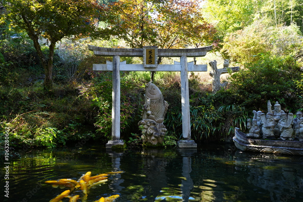 Ougon-ike Pond of Shosenkyo Gorge in Kofu, Yamanashi, Japan - 日本 山梨 昇仙峡 黄金池 鯉