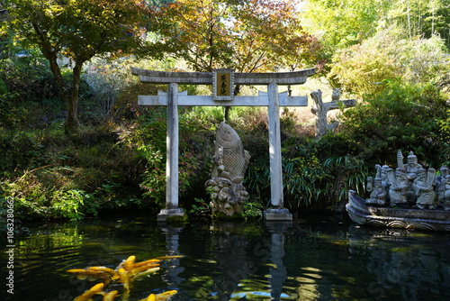Ougon-ike Pond of Shosenkyo Gorge in Kofu, Yamanashi, Japan - 日本 山梨 昇仙峡 黄金池 鯉 