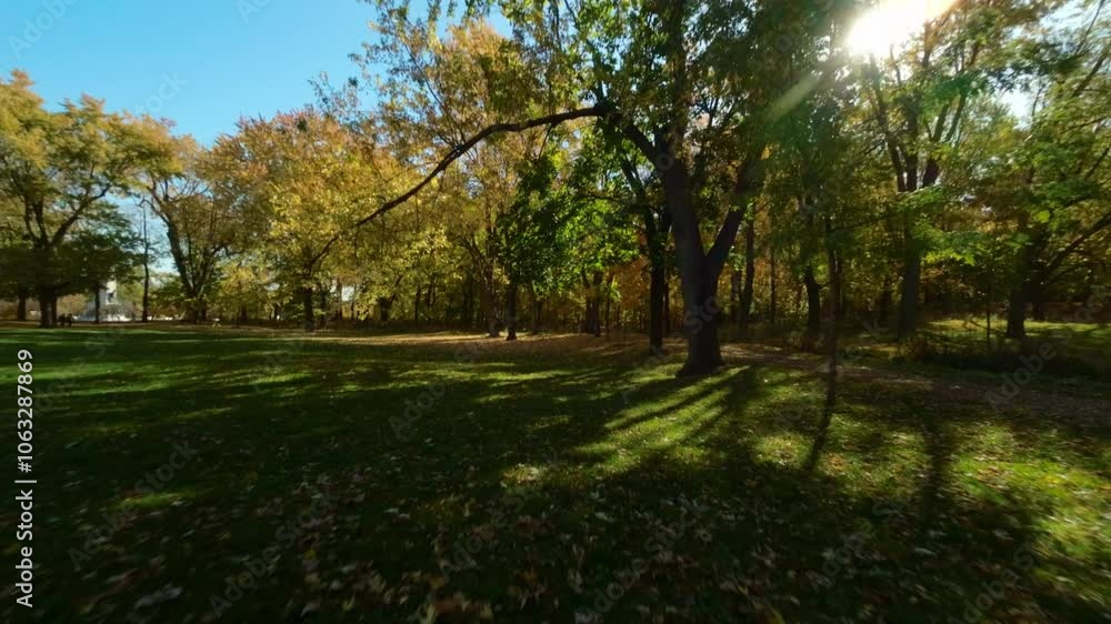 Smooth FPV flight through autumn woods at Mount Royal, showcasing colorful foliage and sunlight Smooth FPV flight through autumn woods at Mount Royal, showcasing colorful foliage and sunlight