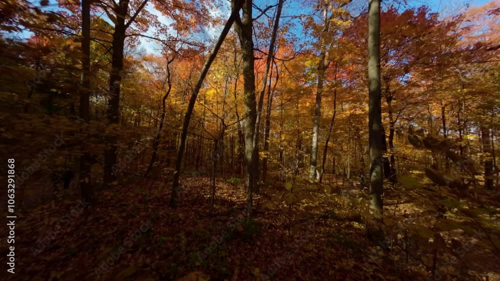 Flying Through Autumn Trees Of Mount Royal Park In Montreal, Quebec Canada. FPV Shot Flying Through Autumn Trees Of Mount Royal Park In Montreal, Quebec Canada. FPV Shot