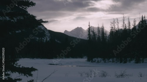 Static shot of the forest during winter with cloudy weather photo