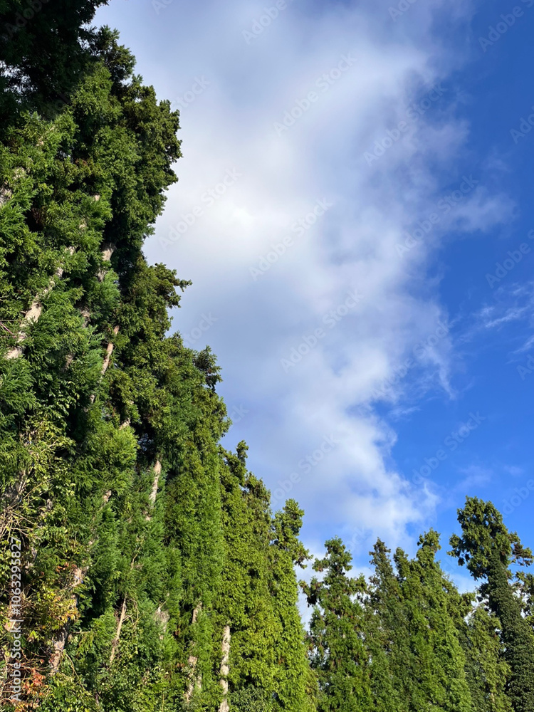 Obraz premium 하늘