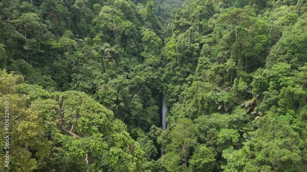Drone soars above tropical vegetation to reveal hidden Casaroro Waterfalls with greenery and dramatic cascade in Negros Oriental, Philippines Drone soars above tropical vegetation to reveal hidden Casaroro Waterfalls with greenery and dramatic cascade in Negros Oriental, Philippines