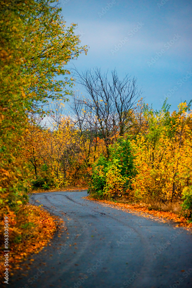 Asphalt road around the forest,path in the forest,countryside road.Autumn landscape photography in the woodlands .Orange and yellow leaves on the road,beautiful road through the forest Asphalt road around the forest,path in the forest,countryside road.Autumn landscape photography in the woodlands .Orange and yellow leaves on the road,beautiful road through the forest
