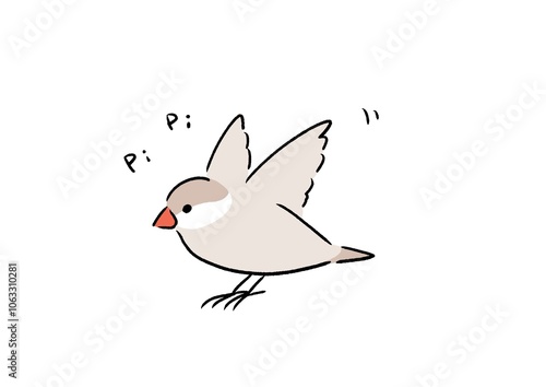 元気なシナモン文鳥