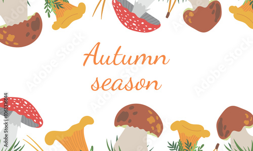 Vector frame with edible porcini mushroom, boletus edulis, chanterelle, and poisonous red fly agaric amanita mushrooms isolated on white background. Hand drawn flat illustration, autumn fall design.