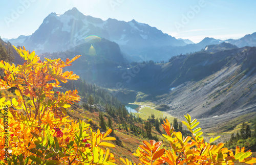 Autumn in Washington photo