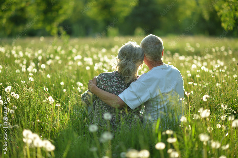 An elderly couple is sitting on the grass in a park rear view