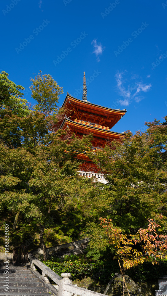 清水の景色 清水の景色