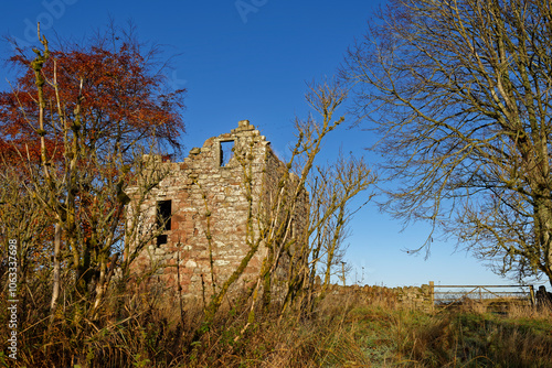 The remains of Ballinshoe Castle a 16th Century Scottish Fortified House seen from the old walled garden and Orchard. photo