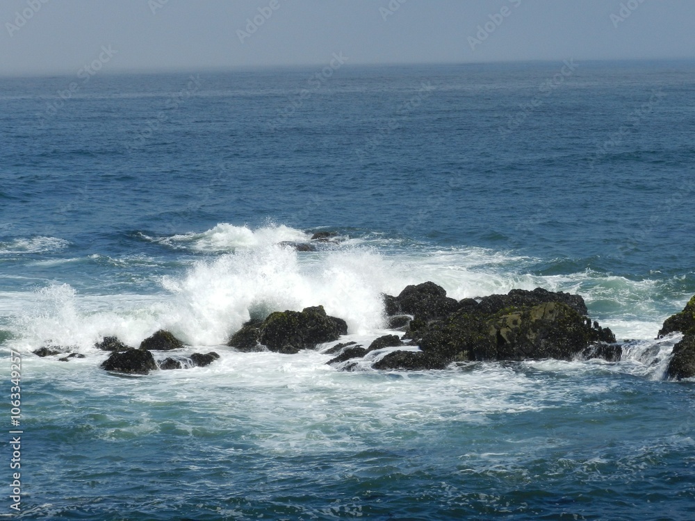 Fototapeta premium Meer