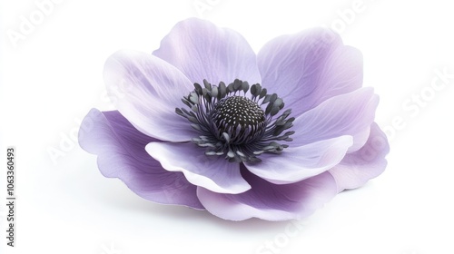 Soft Lavender Flower with Delicate Petals