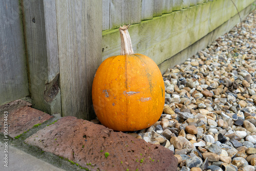 Closeup of Fresh Autumn Pumpkins in Sussex