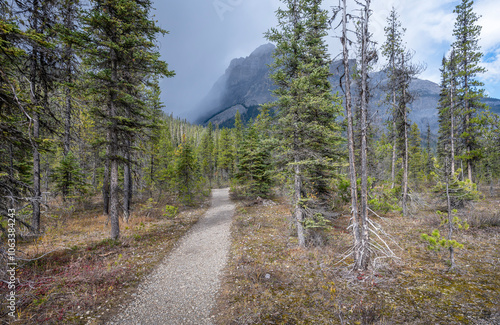 Hiking trail leading to a fog shrouded mountain at Emeral Lake in Yoho National Park, British Columbia, Canada photo