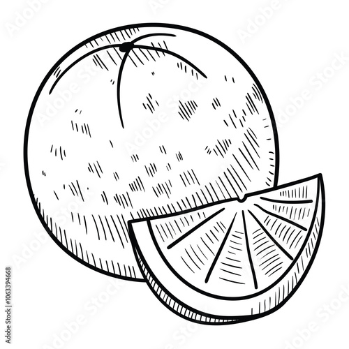 Hand drawn doodle whole and orange slice on white background.