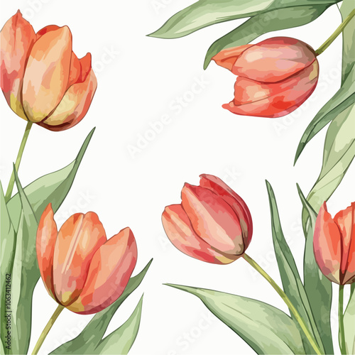 Beautiful blooming tulips floral arrangement Spring flowers bouquet greeting card invitation template Red tulips floral frame border Watercolor floral illustration Wedding Mothers Day Womens Day