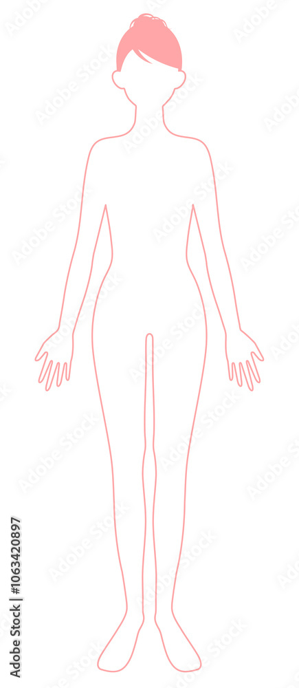 Fototapeta premium 女性 全身 線画
