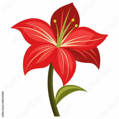 Amaryllis flower vector illustration on a white background